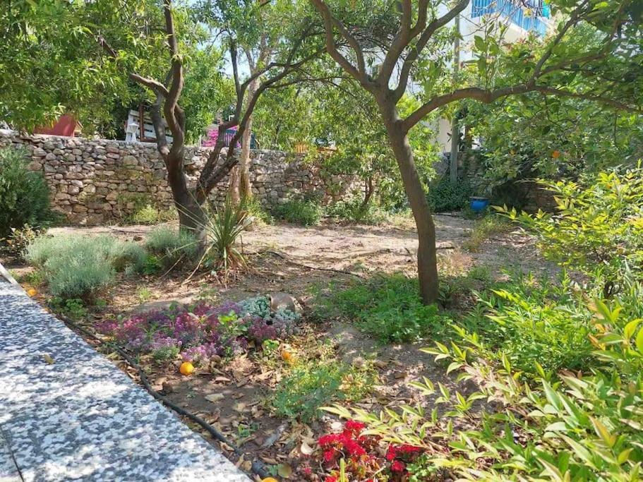 Mel'S Garden House In The Heart Of The City Bodrum Екстериор снимка