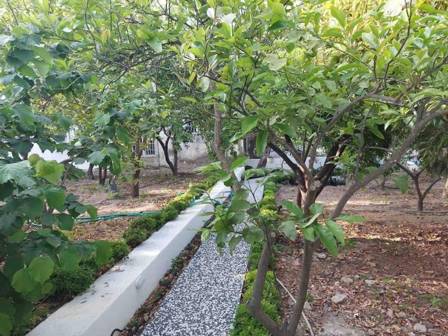 Mel'S Garden House In The Heart Of The City Bodrum Екстериор снимка